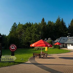 Hotel Pensjonat Orle Krynica-Zdrój Exterior photo