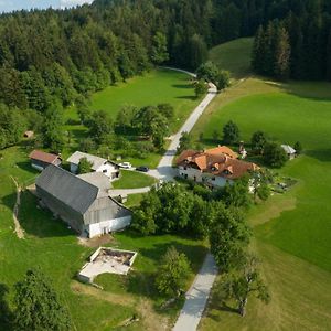 Willa Eco Tourist Farm Ravnjak Slovenj Gradec Exterior photo