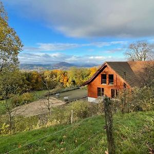 Apartament Wunderschoenes Gaestehaus Mit Grandioser Aussicht Gempen Exterior photo