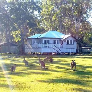 Lake Weyba Noosa Lodge & Kangaroos Peregian Beach Exterior photo