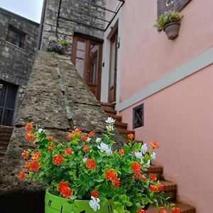 Hotel La Casa Di Amelia Ruviano Exterior photo