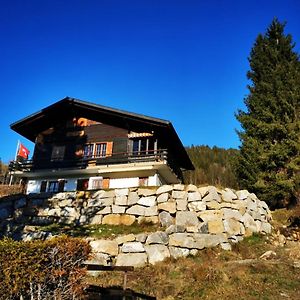 Ferienwohnung Im Chalet Am Bach Bad-Schwarzsee Exterior photo