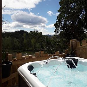 Cocoon Gites 2-4 Ou 6 Pers Avec Jacuzzi Entre Anduze Et Ales Carnoules  Exterior photo