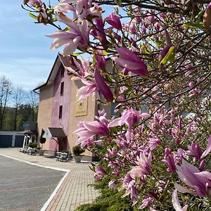 Aparthotel Obiekt Czarny Rycerz Jastrzębie Zdrój Exterior photo