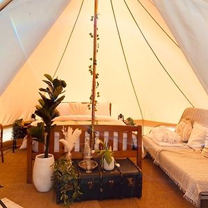 Fen Meadows Glamping - Luxury Cabins And Bell Tents Cambridge Exterior photo