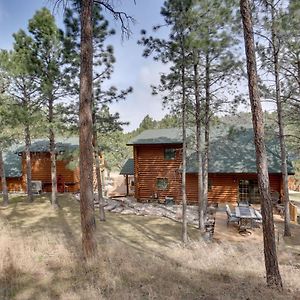 Willa Piedmont Cabin About 10 Mi To Rapid City! Exterior photo