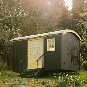 Willa Beekeeper'S Hut - Hawarden Estate Exterior photo