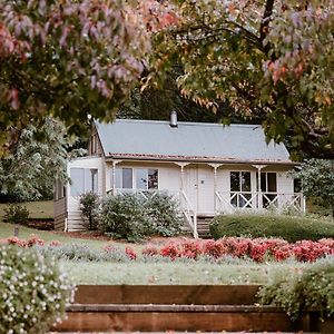 The Mountain View Cottage The Patch Exterior photo