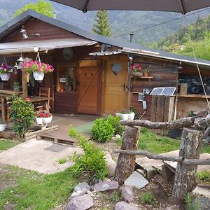 La Cabane, Petite Chambre Agreable Chez L'Habitant, Maison Toute En Bois Valdeblore Exterior photo