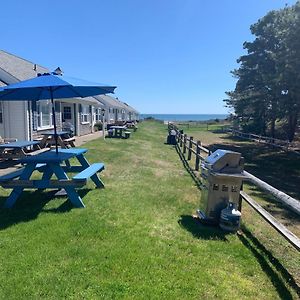 Willa Studio Steps To A Private Beach!! Ocean Views From Backyard!! 2 Paddle Boards!! Dennisport Exterior photo