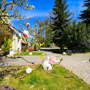 Hotel Pod Platanem Gliwice Exterior photo