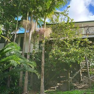 Willa Hatea Treehouse Whangarei Exterior photo