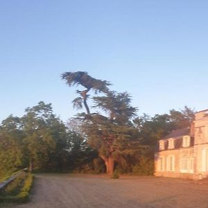 Bed and Breakfast Chateau De Colliers Muides-sur-Loire Exterior photo