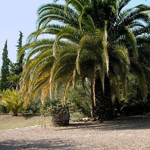 Catalunya Casas Rural Charm On An Olive Farm In Costa Dorada! Vespellá Exterior photo