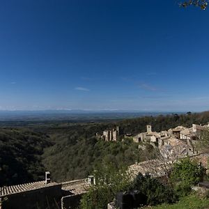 Willa Chateau Le Camigne, Vue Pyrenees Saissac Exterior photo