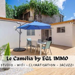 Apartament Le Camelia - Gite "Terre Et Truffes" Le Lamentin Exterior photo