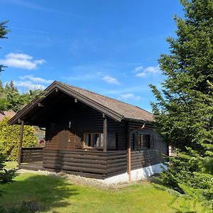 Willa Ferienhaus-Blockhuette Im Fichtelgebirge - Nagler See 2 Km Nagel Exterior photo