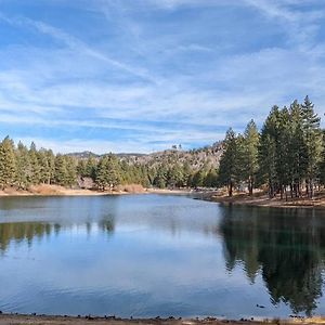 Willa Hidden Jewel Of San Bernardino Mountains Green Valley Lake Exterior photo