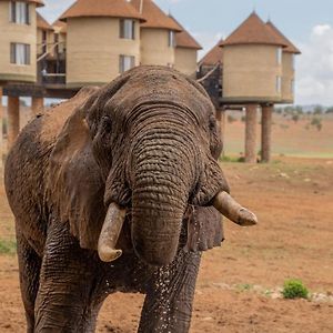 Salt Lick Safari Lodge Tsavo Exterior photo