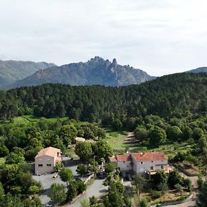 Bed and Breakfast Les Hauts De Cavanello Zonza Exterior photo