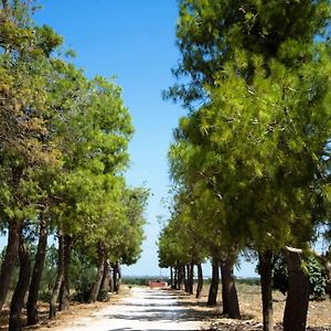 Bed and Breakfast Masseria San Paolo Salice Salentino Exterior photo