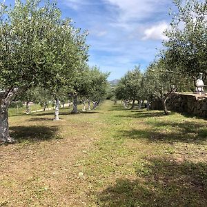 Willa La Casa Nell'Oliveto Berchidda Exterior photo