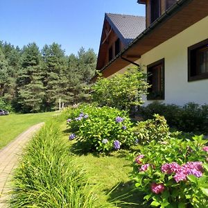 Bed and Breakfast Majątek Morgi Suchowola  Exterior photo