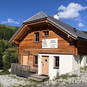 Willa Vesely Svist Chalet Lachtal Exterior photo