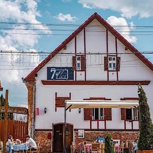 Hotel Pensiunea 7 Tei Cisnădioara Exterior photo