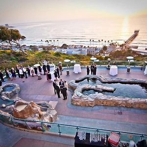 Apartament City Chic Pied-A-Terre In La Jolla/Utc San Diego Exterior photo