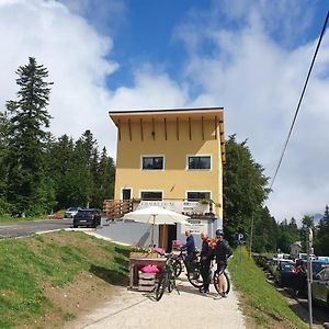 Hotel Chalet Jaune Le Grand Som Sarcenas Exterior photo