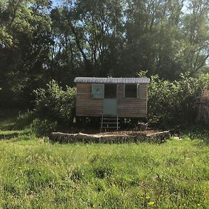 Apartament The Shepherd'S Hut Whiteparish Exterior photo