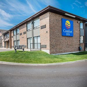 Comfort Inn Edmundston Exterior photo