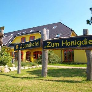 Landhotel Zum Honigdieb Ribnitz-Damgarten Exterior photo