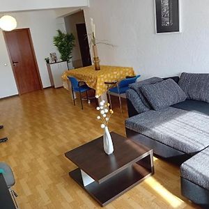 Apartament Workation Taunus Jaguar Zentral Viel Platz Comfort 6 Personen Kueche, Waschmaschine & Trockner Kelkheim Exterior photo