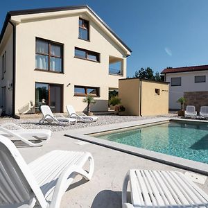 Apartments Kras 24 With Pool Sežana Exterior photo