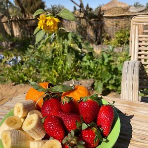 Bed and Breakfast Domed Bedouin Chalet Al Hayz Exterior photo