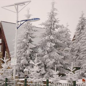 Hotel Vielel Birta Văliug Exterior photo