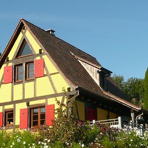 Hotel La Pomme De Pin Raedersdorf Exterior photo