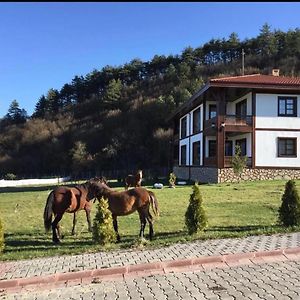 Hotel Mengen Rueya Ciftligi Babahizir Exterior photo