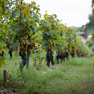 Willa Gite Au Milieu Des Vignes Prignac-et-Marcamps Exterior photo