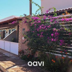 Willa Qavi - Casa Tropical #Paraisodobrasil Touros Exterior photo