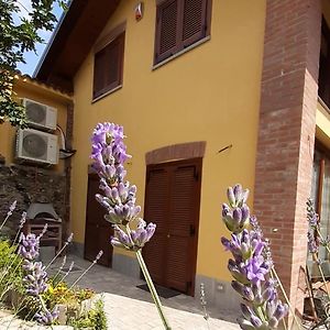 Bed and Breakfast Casa Lavanda Rivoli  Exterior photo