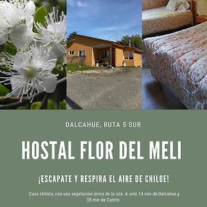 Bed and Breakfast Hostal Flor Del Meli Dalcahue Exterior photo