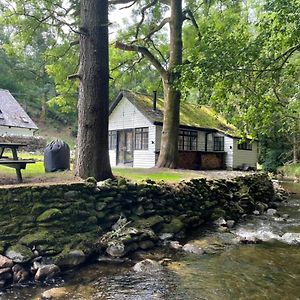 Willa Cuckoo Cabin, Tyn Y Cwm Eglwys-Fach Exterior photo