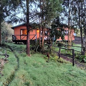 Pensjonat Casa O Habitacion En Carretera Austral Puerto Montt Exterior photo