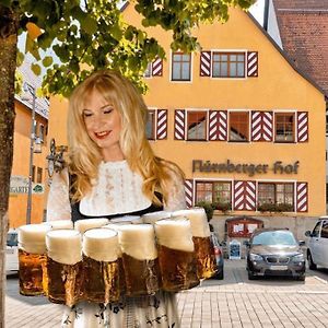 Hotel Nuernberger Hof In Altdorf Altdorf bei Nürnberg Exterior photo