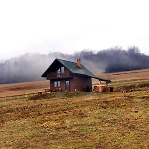 Willa Domek Na Starej Cegielni Baligród Exterior photo