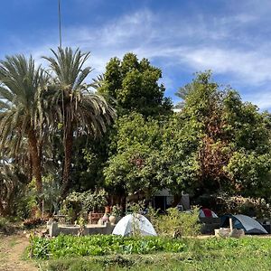 Hotel Salatoos Mango Camp Aswan Exterior photo