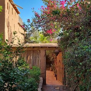 Hotel Dar Boumida Lalla Takerkoust Exterior photo